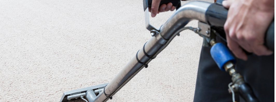 Steam Carpet Cleaning: The Gold Standard for Deep Cleans